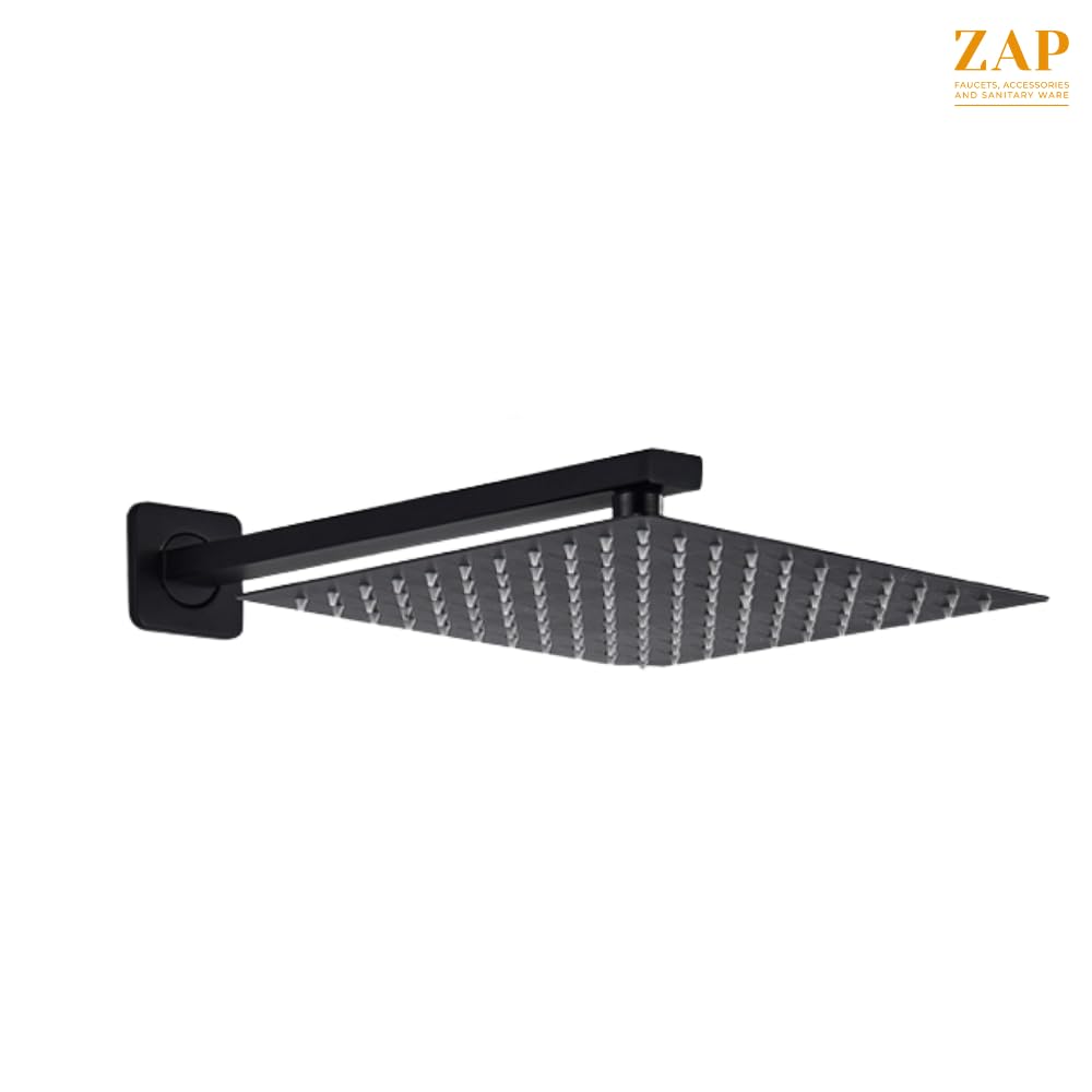 Zap Matte Black Overhead Shower
