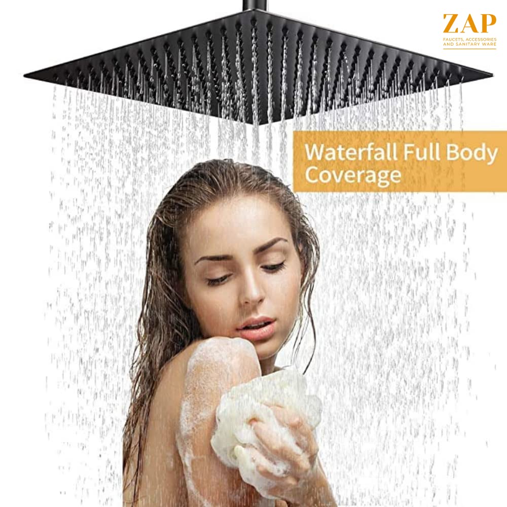 Zap Black Overhead Shower