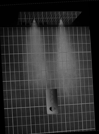 CEILING SHOWER