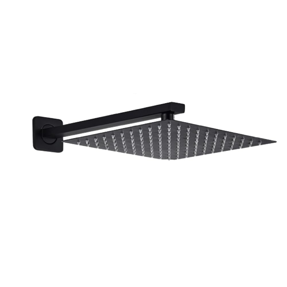 Zap Matte Black Overhead Shower