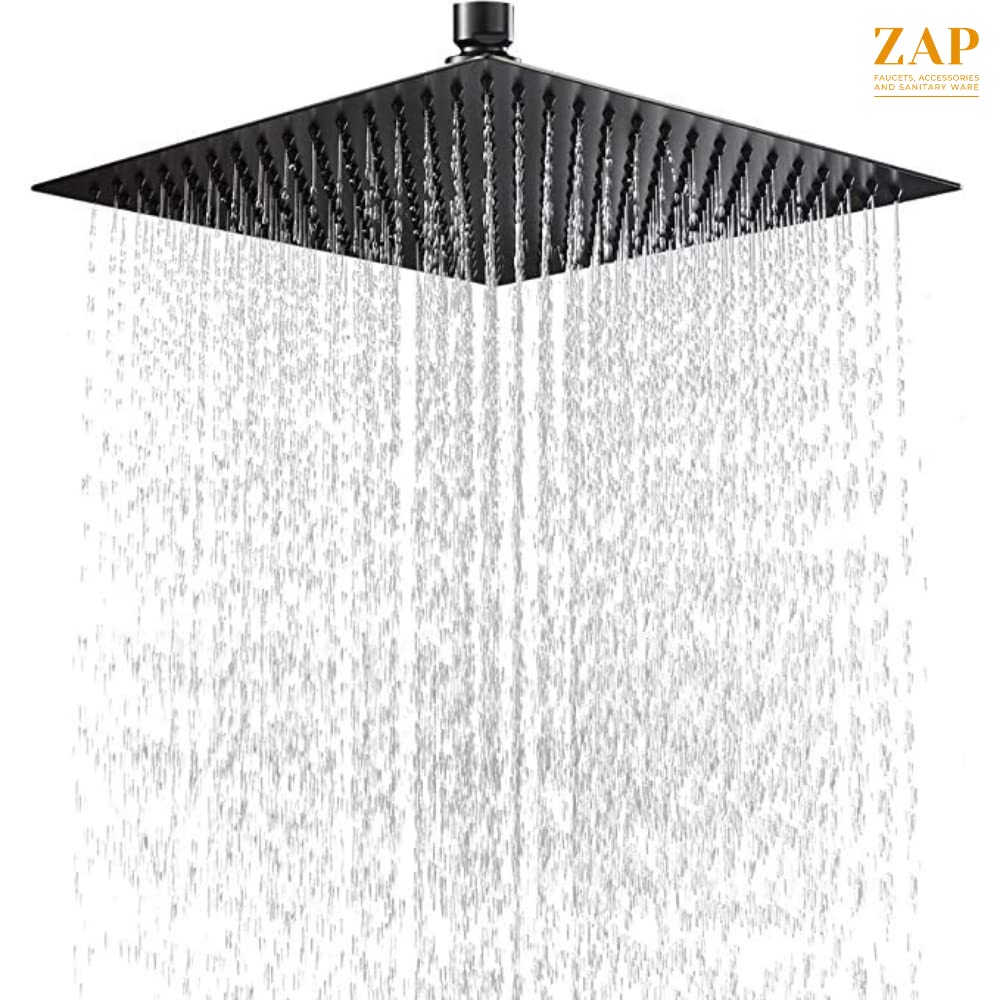 Zap Matte Black Overhead Shower