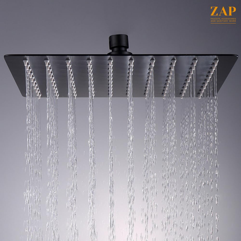 Zap Matte Black Overhead Shower