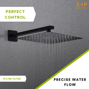 Zap Matte Black Overhead Shower