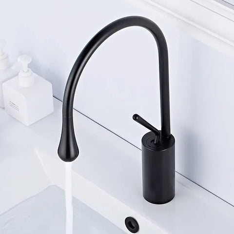 Lavish Series Rust Free Bathroom Single Hole Sink Faucet, Bathroom Faucet | Single Handle for Temperature Control, Utility Sink Faucet (Black)
