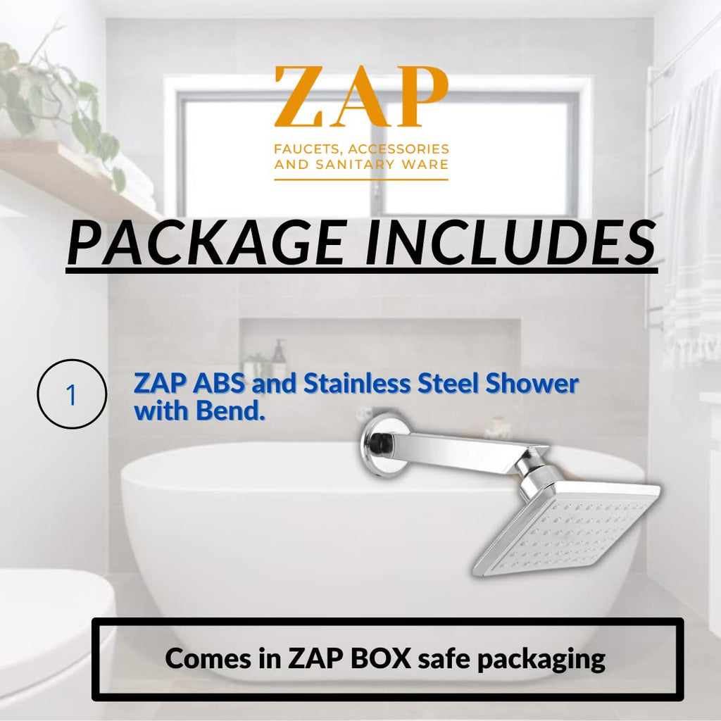 ABS and Stainless Steel Shower with Bend ZR-9896 (Chrome) (1)